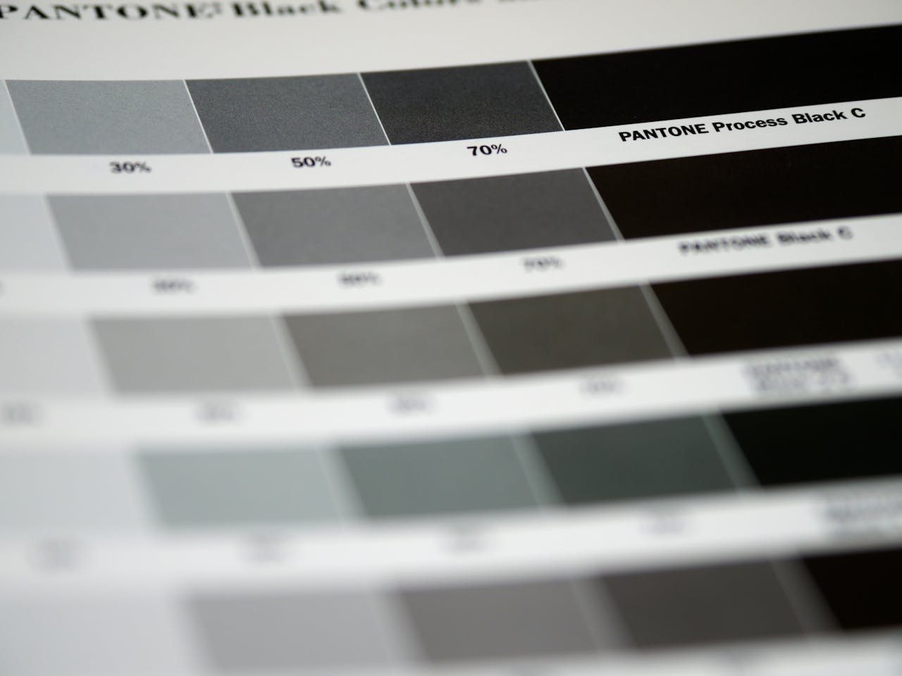 Detailed close-up of Pantone black color swatches, featuring various shades and percentages.